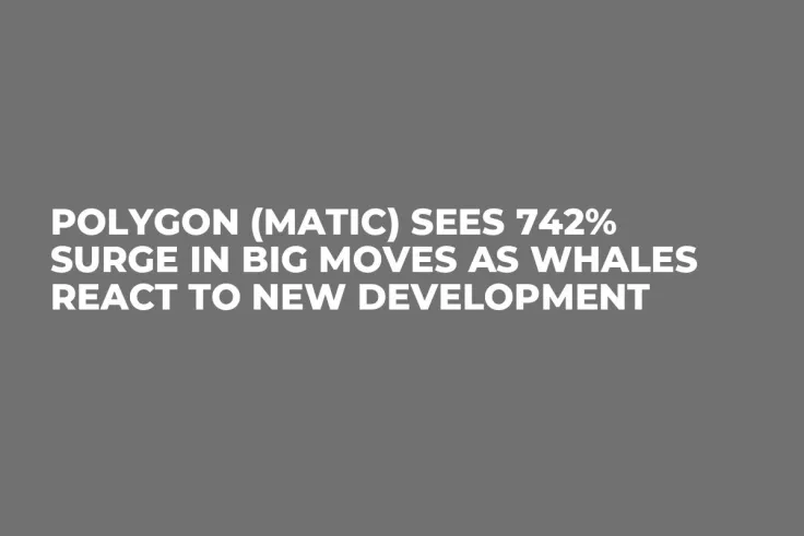Polygon (MATIC) Sees 742% Surge in Big Moves as Whales React to New Development