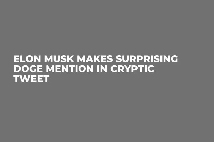 Elon Musk Makes Surprising DOGE Mention in Cryptic Tweet