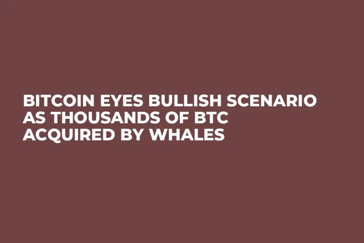 Bitcoin Eyes Bullish Scenario as Thousands of BTC Acquired by Whales