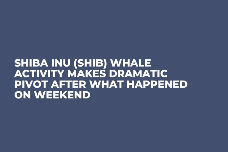 Shiba Inu (SHIB) Whale Activity Makes Dramatic Pivot After What Happened on Weekend