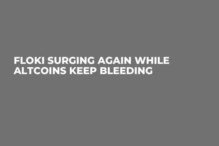 FLOKI Surging Again While Altcoins Keep Bleeding