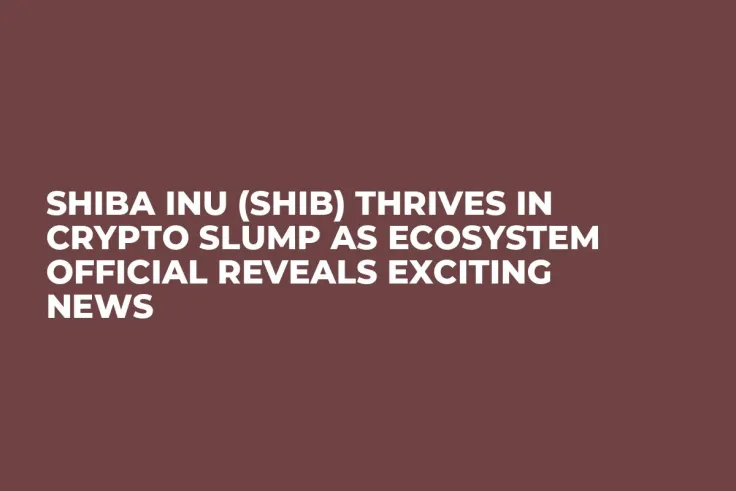 Shiba Inu (SHIB) Thrives in Crypto Slump as Ecosystem Official Reveals Exciting News