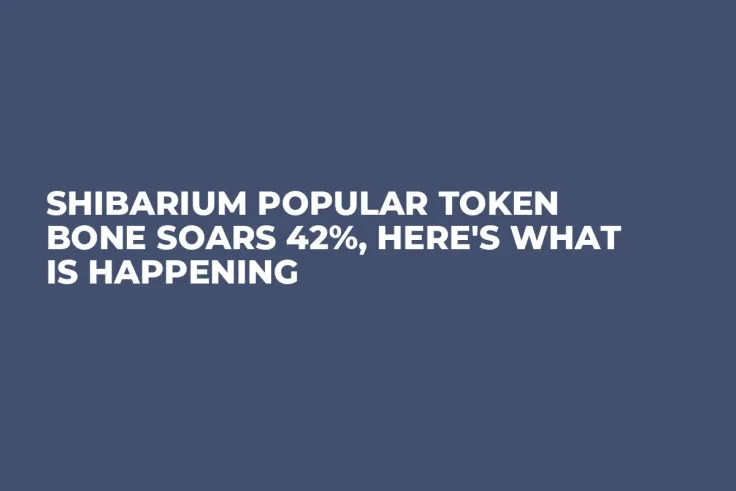 Shibarium Popular Token BONE Soars 42%, Here's What Is Happening