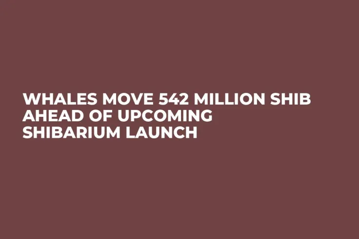 Whales Move 542 Million SHIB Ahead of Upcoming Shibarium Launch