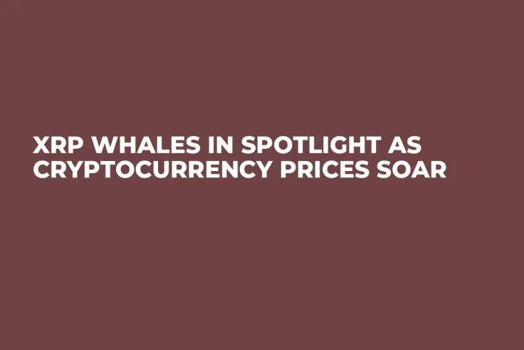 XRP Whales in Spotlight as Cryptocurrency Prices Soar