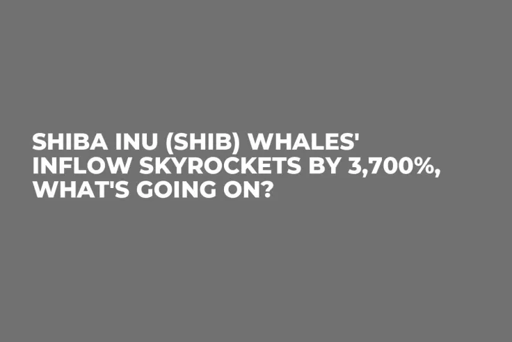 Shiba Inu (SHIB) Whales' Inflow Skyrockets by 3,700%, What's Going On?