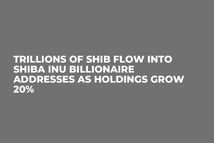 Trillions of SHIB Flow into Shiba Inu Billionaire Addresses as Holdings Grow 20%