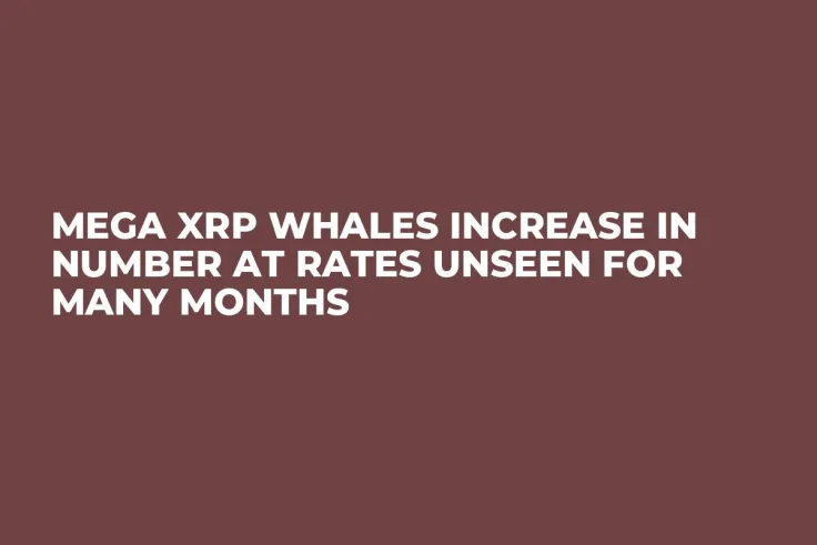 Mega XRP Whales Increase in Number at Rates Unseen for Many Months