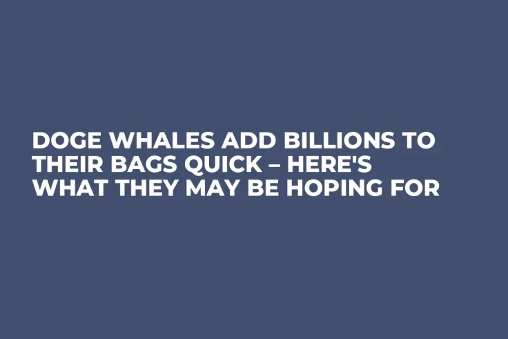DOGE Whales Add Billions to Their Bags Quick – Here's What They May Be Hoping For