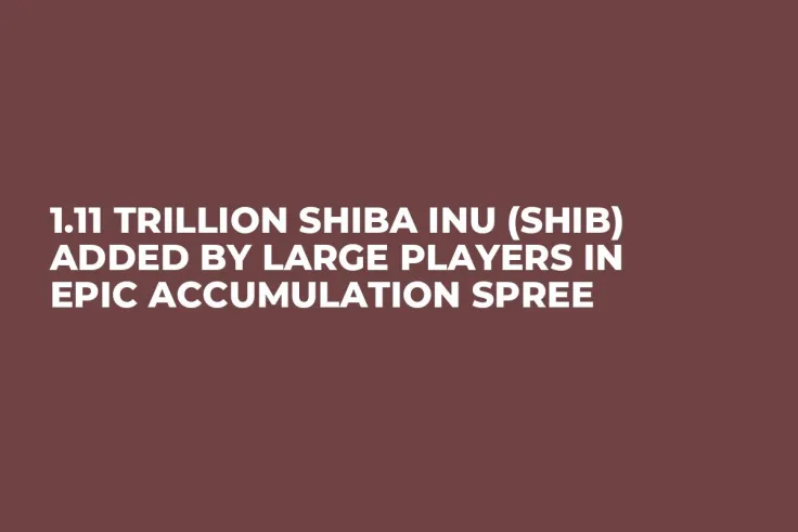 1.11 Trillion Shiba Inu (SHIB) Added by Large Players in Epic Accumulation Spree
