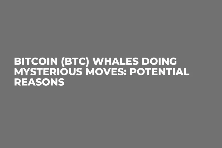 Bitcoin (BTC) Whales Doing Mysterious Moves: Potential Reasons