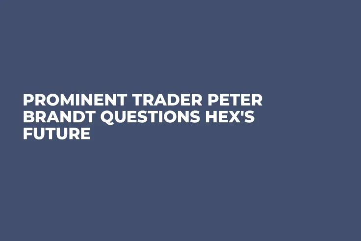 Prominent Trader Peter Brandt Questions HEX's Future