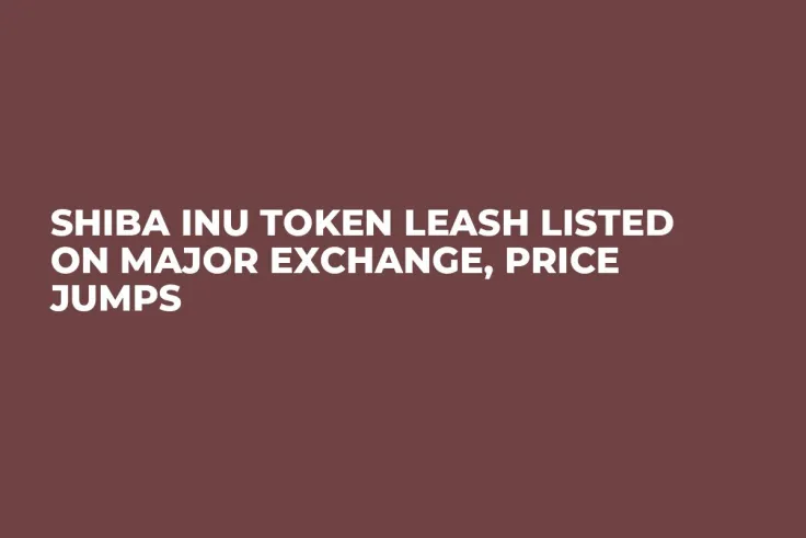 Shiba Inu Token LEASH Listed on Major Exchange, Price Jumps