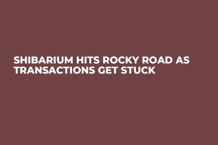 Shibarium Hits Rocky Road as Transactions Get Stuck
