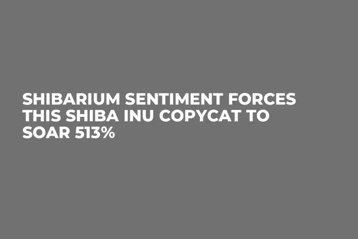 Shibarium Sentiment Forces This Shiba Inu Copycat to Soar 513%