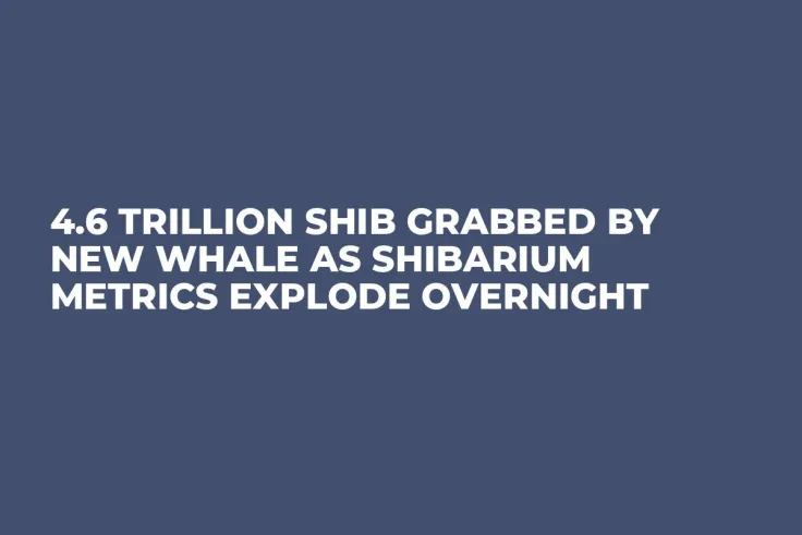 4.6 Trillion SHIB Grabbed by New Whale as Shibarium Metrics Explode Overnight