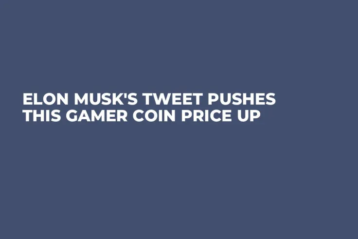 Elon Musk's Tweet Pushes This Gamer Coin Price Up 