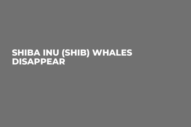 Shiba Inu (SHIB) Whales Disappear