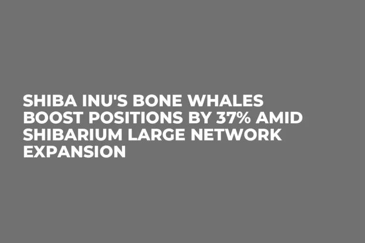 Shiba Inu's BONE Whales Boost Positions by 37% Amid Shibarium Large Network Expansion