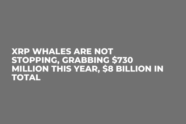 XRP Whales Are Not Stopping, Grabbing $730 Million This Year, $8 Billion in Total