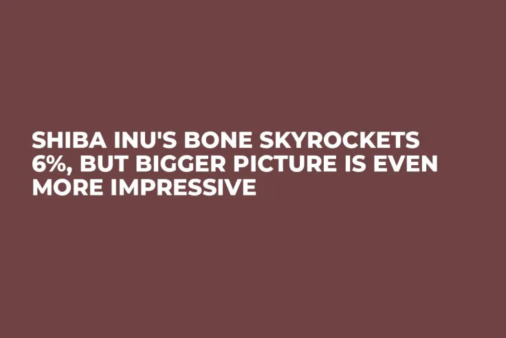 Shiba Inu's BONE Skyrockets 6%, But Bigger Picture Is Even More Impressive