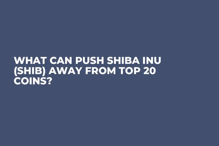 What Can Push Shiba Inu (SHIB) Away From Top 20 Coins?