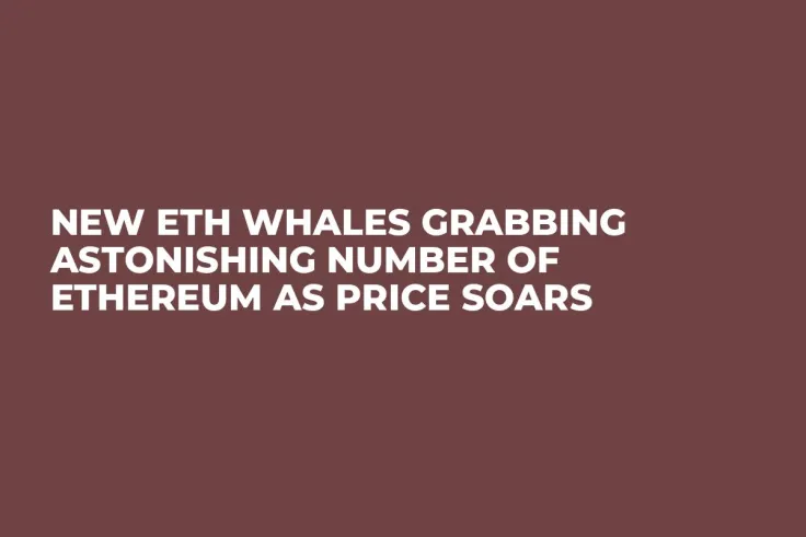 New ETH Whales Grabbing Astonishing Number of Ethereum As Price Soars