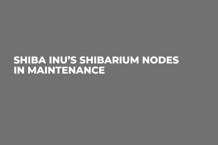 Shiba Inu’s Shibarium Nodes in Maintenance