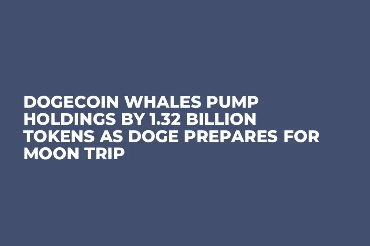 Dogecoin Whales Pump Holdings by 1.32 Billion Tokens as DOGE Prepares for Moon Trip
