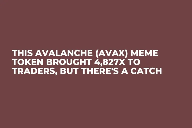 This Avalanche (AVAX) Meme Token Brought 4,827x to Traders, But There's a Catch