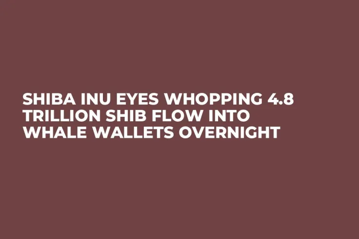 Shiba Inu Eyes Whopping 4.8 Trillion SHIB Flow into Whale Wallets Overnight