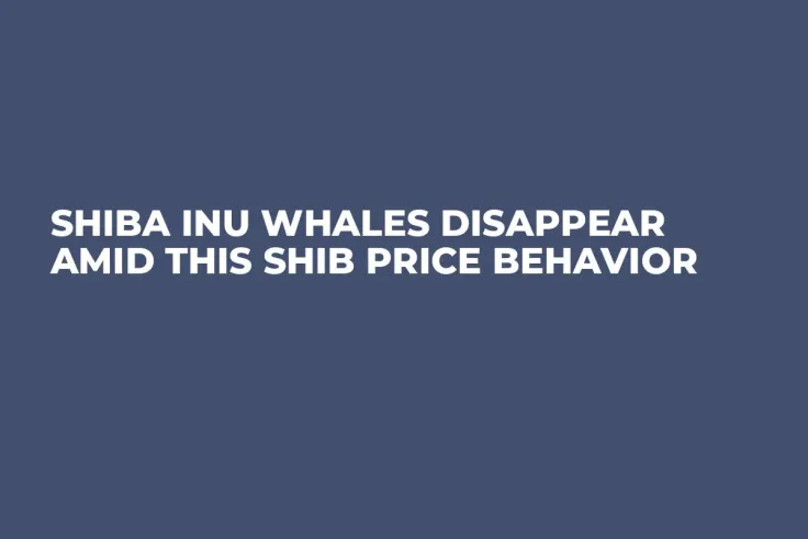 Shiba Inu Whales Disappear Amid This SHIB Price Behavior