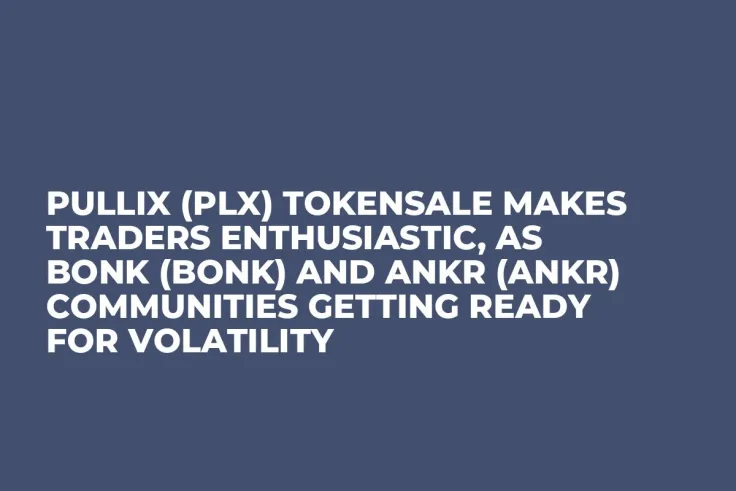 Pullix (PLX) Tokensale Makes Traders Enthusiastic, as Bonk (BONK) and Ankr (ANKR) Communities Getting Ready for Volatility