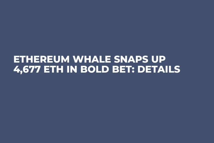 Ethereum Whale Snaps up 4,677 ETH in Bold Bet: Details