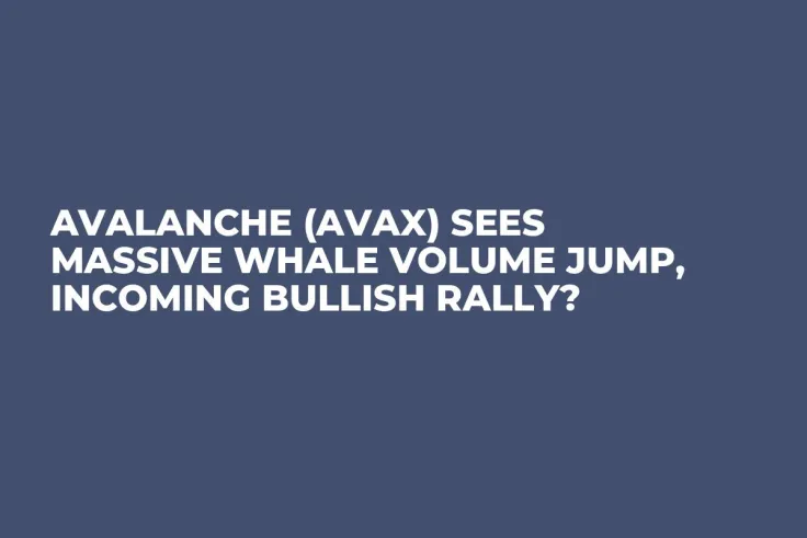 Avalanche (AVAX) Sees Massive Whale Volume Jump, Incoming Bullish Rally?