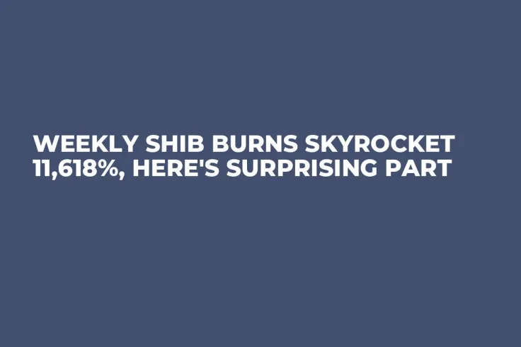 Weekly SHIB Burns Skyrocket 11,618%, Here's Surprising Part