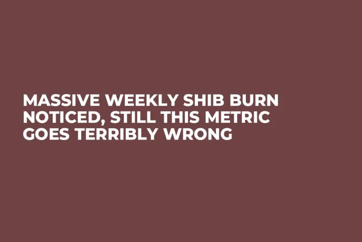 Massive Weekly SHIB Burn Noticed, Still This Metric Goes Terribly Wrong 