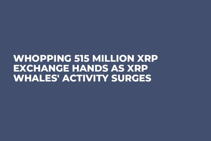 Whopping 515 Million XRP Exchange Hands as XRP Whales' Activity Surges