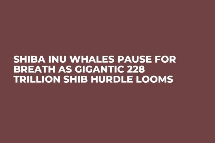 Shiba Inu Whales Pause for Breath as Gigantic 228 Trillion SHIB Hurdle Looms