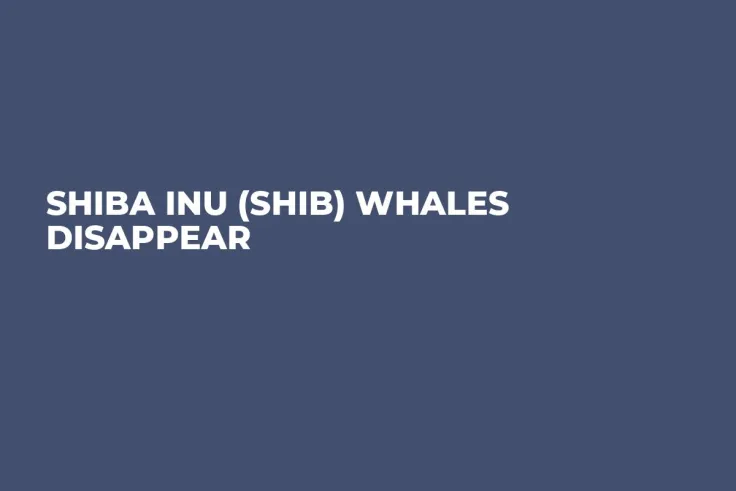 Shiba Inu (SHIB) Whales Disappear