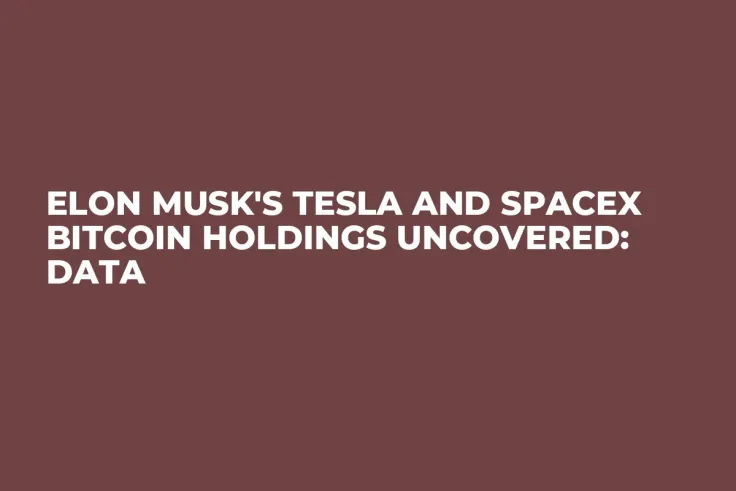 Elon Musk's Tesla and SpaceX Bitcoin Holdings Uncovered: Data