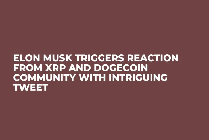 Elon Musk Triggers Reaction From XRP and Dogecoin Community With Intriguing Tweet
