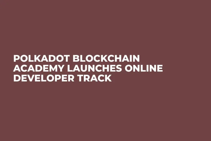 Polkadot Blockchain Academy Launches Online Developer Track