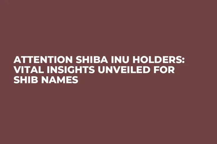 Attention Shiba Inu Holders: Vital Insights Unveiled for SHIB Names
