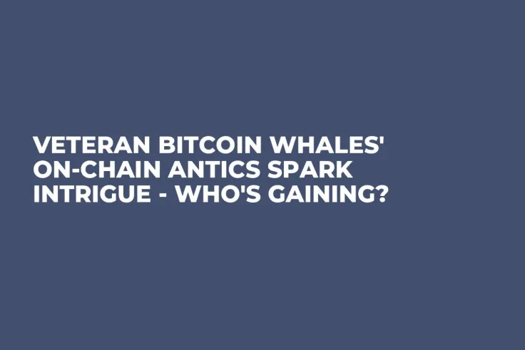 Veteran Bitcoin Whales' On-chain Antics Spark Intrigue - Who's Gaining?