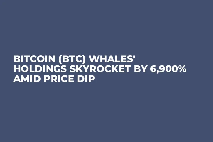 Bitcoin (BTC) Whales' Holdings Skyrocket by 6,900% Amid Price Dip
