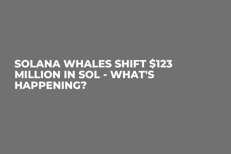 Solana Whales Shift $123 Million in SOL - What's Happening?