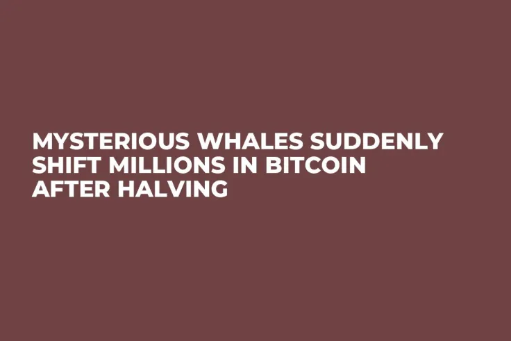 Mysterious Whales Suddenly Shift Millions in Bitcoin After Halving