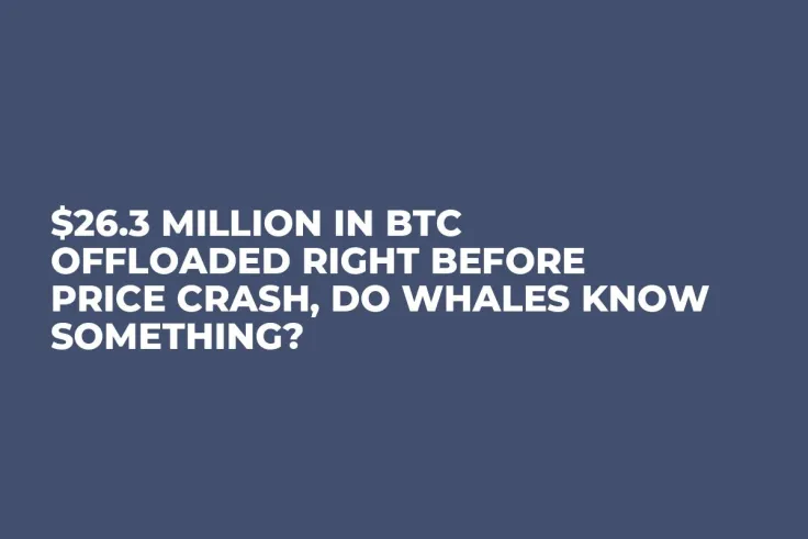 $26.3 Million in BTC Offloaded Right Before Price Crash, Do Whales Know Something?