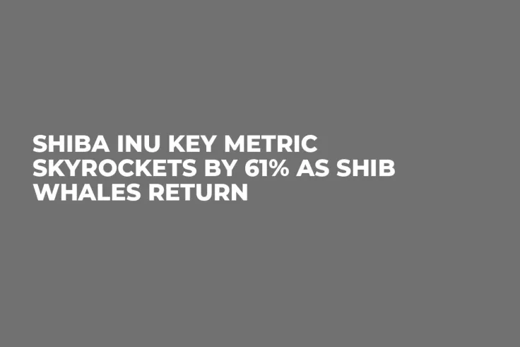 Shiba Inu Key Metric Skyrockets by 61% as SHIB Whales Return